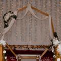 Review photo 4