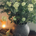 Review photo 1