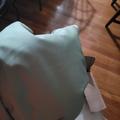 Review photo 1