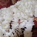 Review photo 1