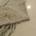 Review photo 6