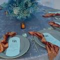 Deia Deia review photo for Blue charger plates 