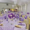 Porsha Maxwell review photo for Great for Chiavari Chairs! 