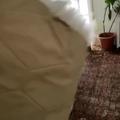 Review photo 4