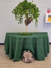 Umbrella Tree