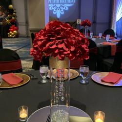 10 Pack Octagon Acrylic Crystal Beaded Garland Strands with Diamond Prism Pendant, Hanging Chandelier Beads Chains for Christmas Tree Ornaments Party Decorations - 3ft