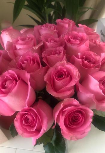 Upscale and Posh Luxury Pink Roses Review