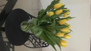 Upscale and Posh Tulips Bouquet With Vase Review