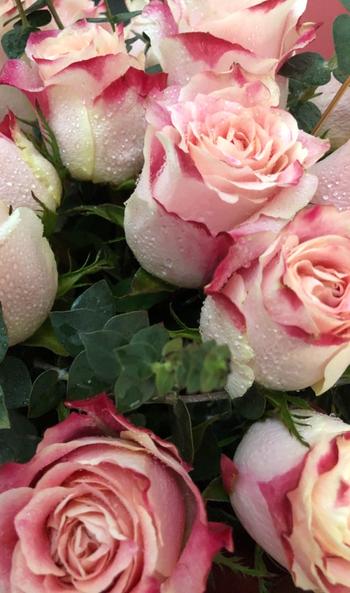 Upscale and Posh BLUSH - Pink Roses and Eucalyptus Review