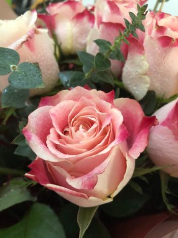 Upscale and Posh BLUSH - Pink Roses and Eucalyptus Review