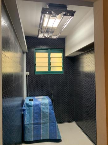 Steigen Singapore Solar Review