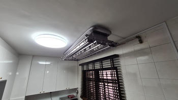 Steigen Singapore Solar Alpha Review