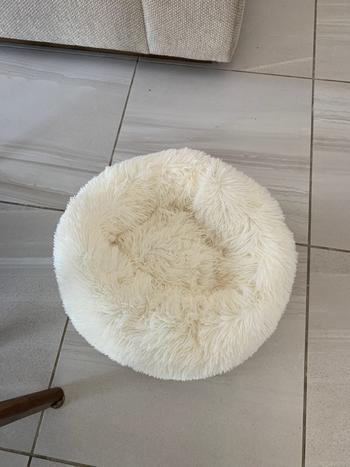 Splentify Comfy Calming Dog/Cat Bed Review