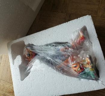 Splentify ArtZ® Chihuahua Graffiti Painted Statue Review