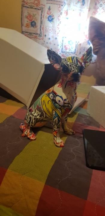 Splentify ArtZ® Chihuahua Graffiti Painted Statue Review