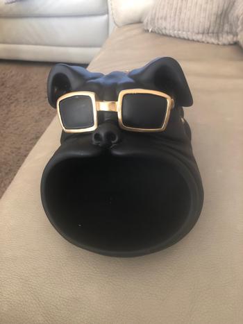 Splentify ArtZ® Dog Sculpture Storage Bin Review