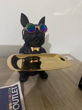 Splentify ArtZ® Bulldog Sculpture Table Tray and Piggy Bank Review