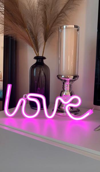 ArtZMiami Neon Love Light Review