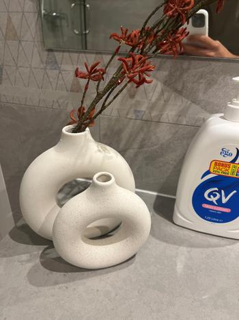 Splentify ArtZ® Hollow Ceramic Vase Review