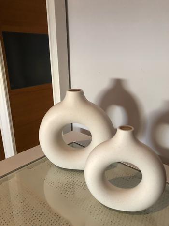 Splentify ArtZ® Hollow Ceramic Vase Review