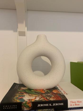 Splentify ArtZ® Hollow Ceramic Vase Review
