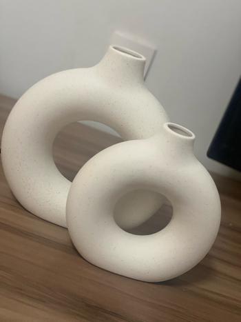 Splentify ArtZ® Hollow Ceramic Vase Review