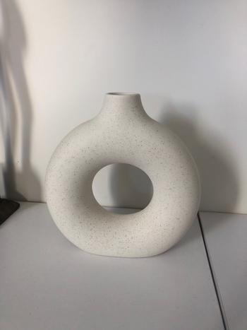 Splentify ArtZ® Hollow Ceramic Vase Review