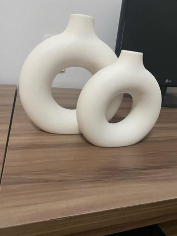 Splentify ArtZ® Hollow Ceramic Vase Review