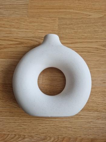 Splentify ArtZ® Hollow Ceramic Vase Review