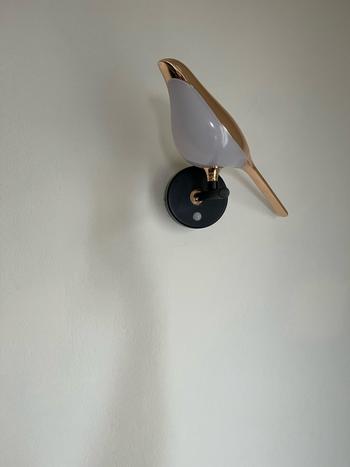 ArtZMiami ArtZ® Love Birds Wall Lamp Review