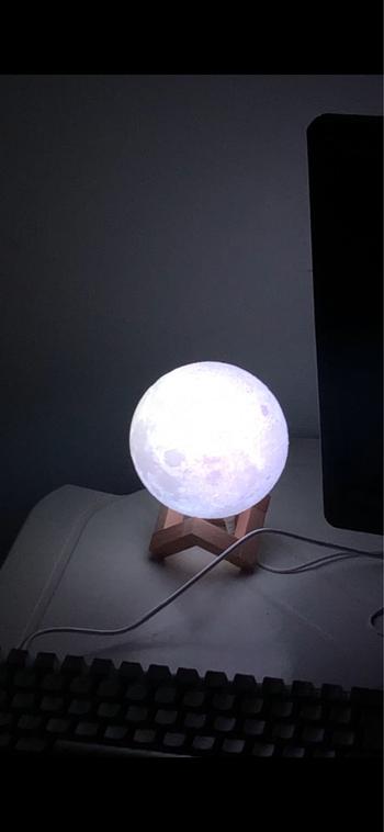 ArtZMiami ArtZ® Full Moon Lamp Review