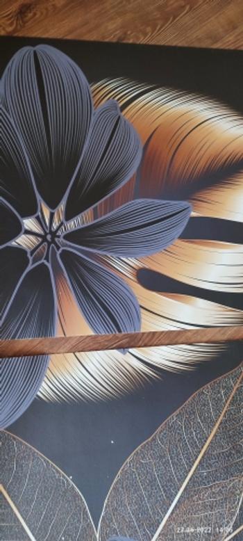 ArtZMiami ArtZ® Exotic Jungle Canvas Paintings Review
