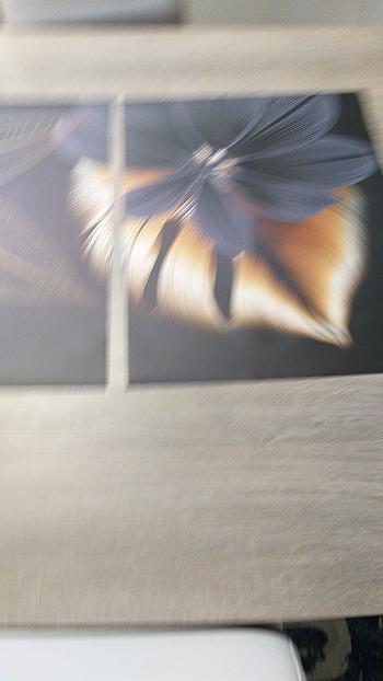 ArtZMiami ArtZ® Exotic Jungle Canvas Paintings Review