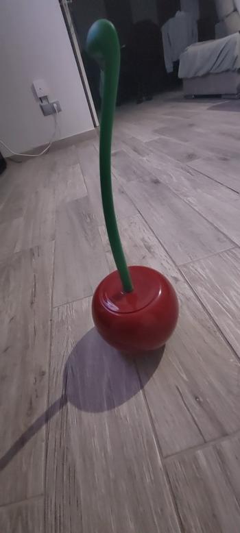 ArtZMiami ArtZ® Nordic Cherry Toilet Brush and Holder Review