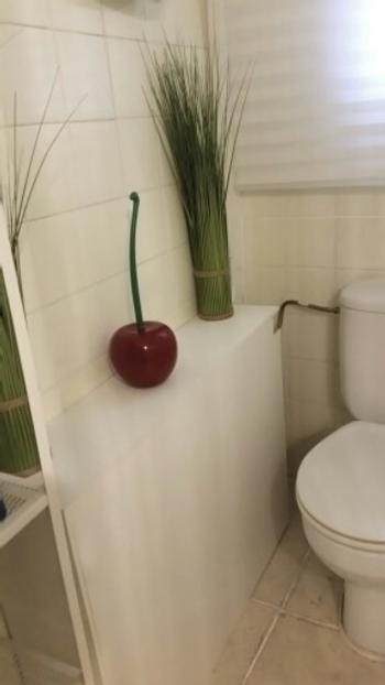 ArtZMiami ArtZ® Nordic Cherry Toilet Brush and Holder Review