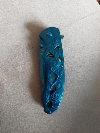 BLADES NOW Steel Roses Blue Spring Assisted Pocket Knife Review
