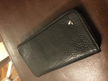 Vaja Wallet Agenda -  Wallet + iPhone 6/6s Leather Case Review