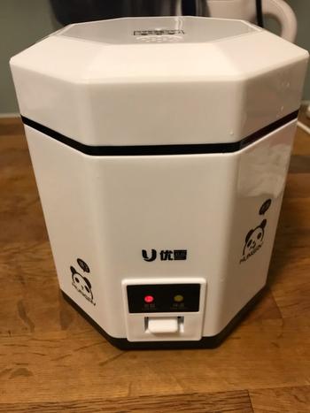 Kitchen Groups Mini Rice Cooker Review