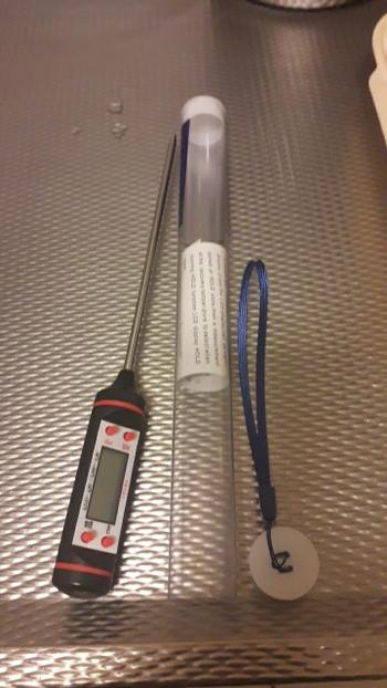 Kitchen Groups Digital Probe Meat Thermometer Review