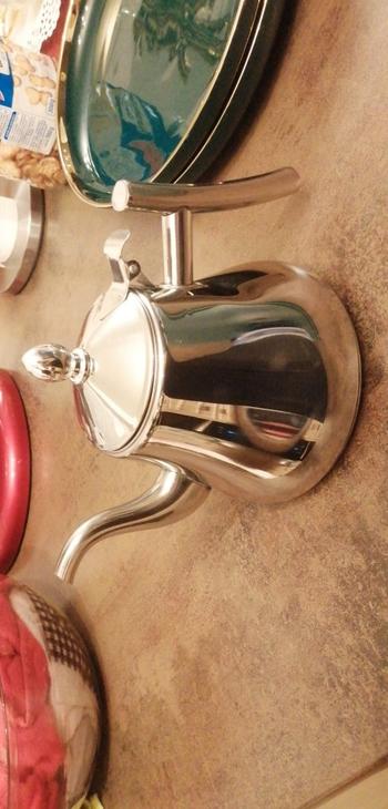 Kitchen Groups Best Induction Kettle Cooker With Filter Durable Stainless Steel Tea Kettle Review