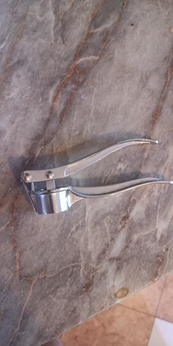 Kitchen Groups Garlic Press Crusher Review