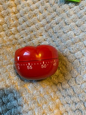Kitchen Groups 360 Degree Tomato Shaped Mechanical Timer Review