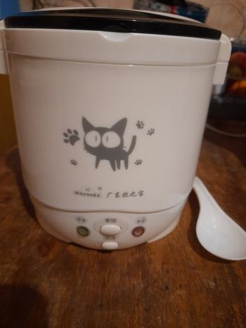 Kitchen Groups Electric Mini Multi Cooker Review