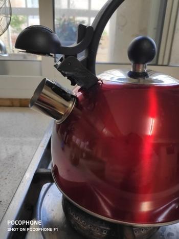 Kitchen Groups Colorful Tea Kettle For Gas Stove And Induction Tea Kettle Review