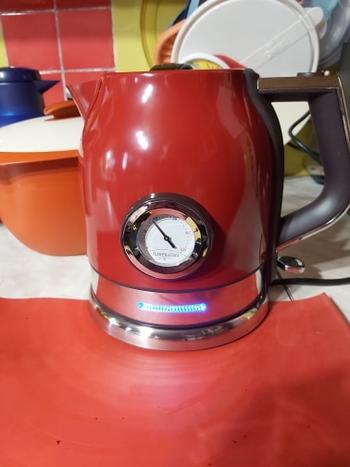 Kitchen Groups Quick Heating Electric Boiling Kettle Review