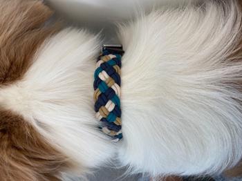 Native Collars Tiny Dog Version Custom River Collar Review