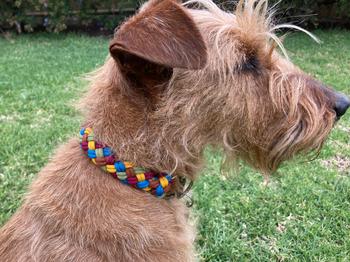 Native Collars Waterproof Custom Paracord Collar  - Your own design! Review