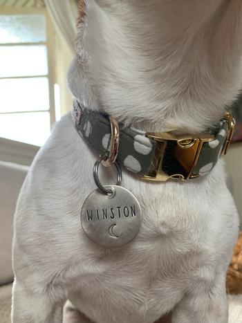 Native Collars Native Dog Tag Brass Review