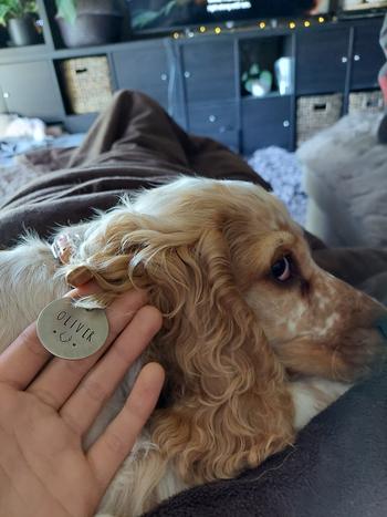 Native Collars Native Dog Tag Brass Review