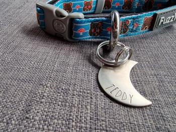 Native Collars Native Moon Dog Tag Review